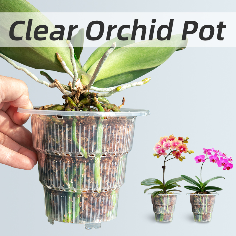 Aloe Vera Pot - メッシュポット透明プラスチック蘭ポット穴と受け皿付き小さな蘭プランターの移植用根制御蘭透明ポット