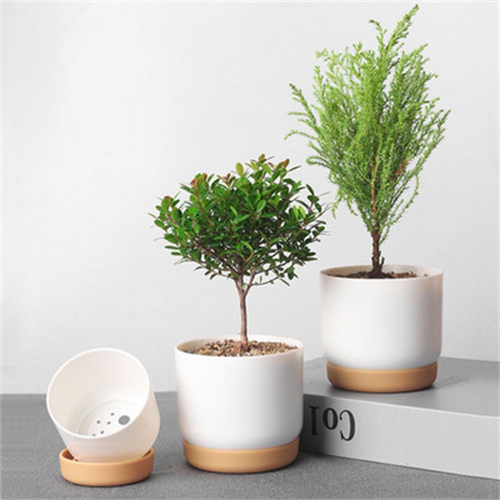 Aloe Vera Pot - 丸い緑色の植物園芸用品、自動給水機能付き排水穴付き蘭鉢、屋内用フラワーポット