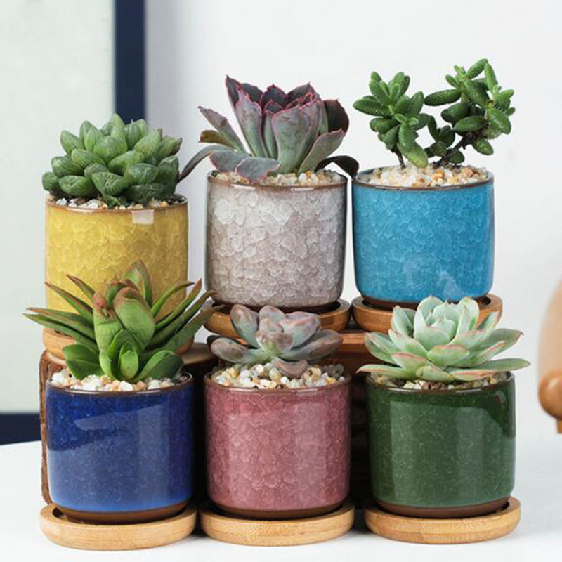 Aloe Vera Pot - 6 ピース/セットセラミック植木鉢セットミニ親指多肉植物ポットプランターフクロウ動物花瓶庭の家の装飾安全なパッケージ