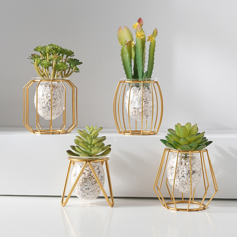 Aloe Vera Pot - 水耕栽培の創造的な花瓶の装飾,オフィス,緑のラディッシュ,植物の容器,テーブルの装飾,家