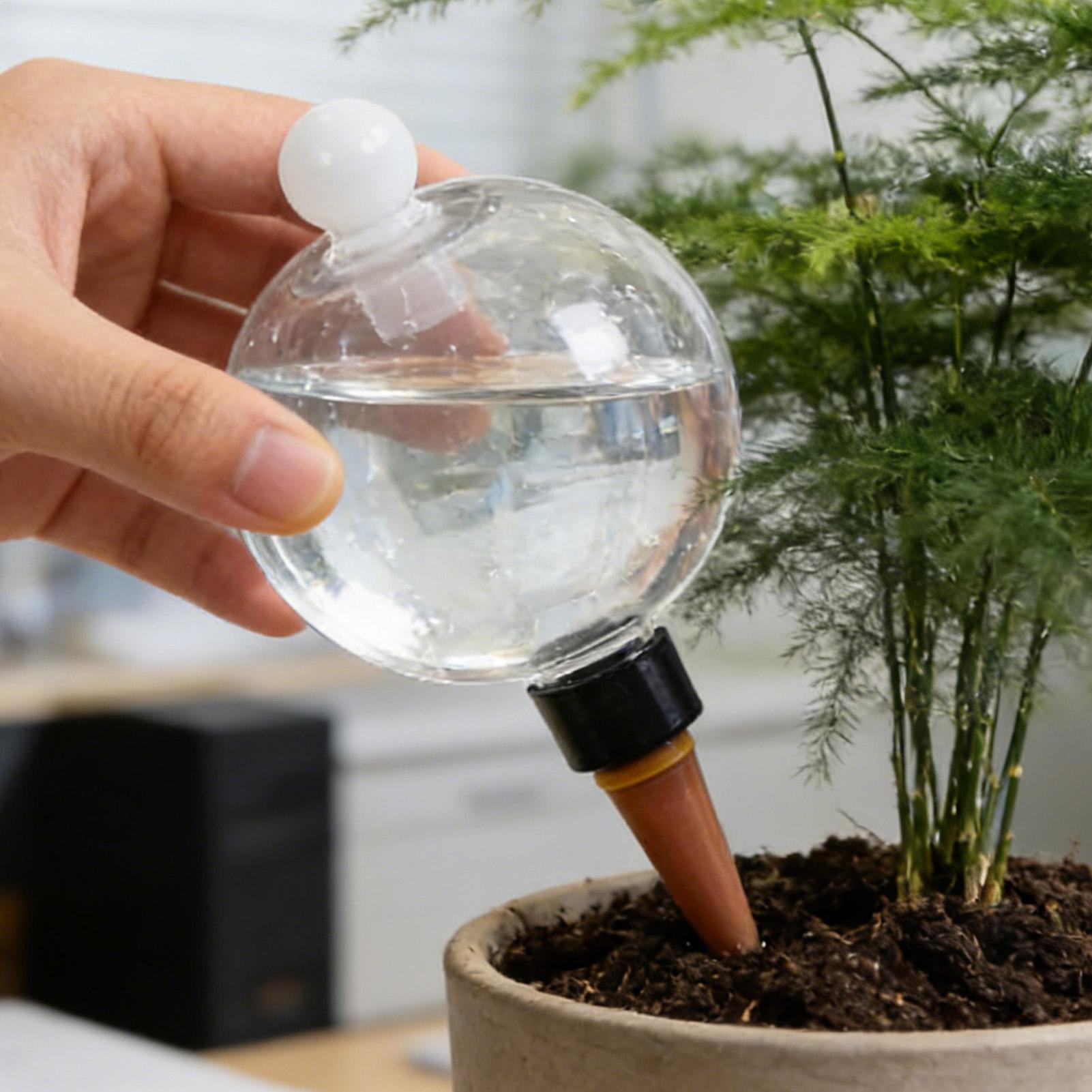 植物散水用ボール 4個入り 500ml 透明自動給水グローブ - Echeveria Succulent のレビューと価格