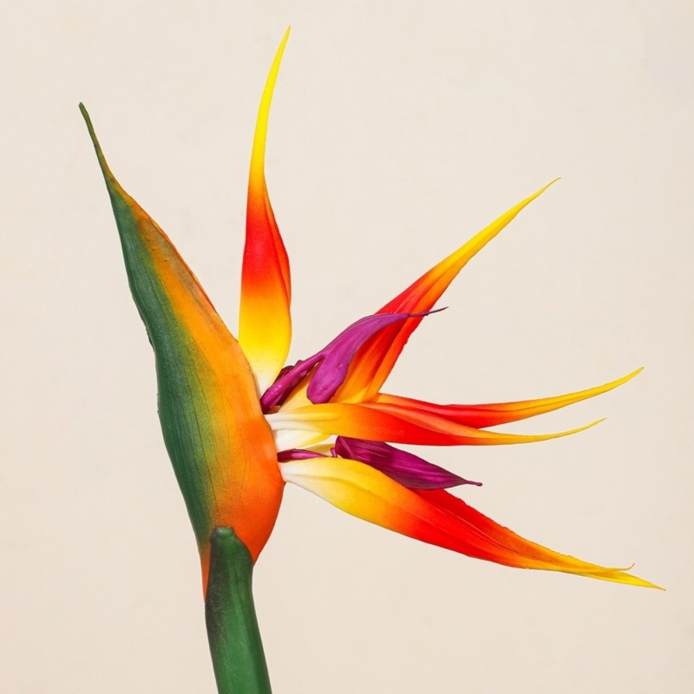 新しいロングステム人工極楽鳥花、本物のような質感のDIYフェ - Bird Paradise Strelitzia のレビューと価格