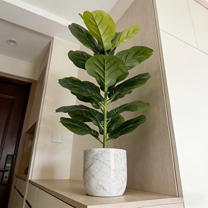 オフィス、ホテル、カフェ、結婚式、自宅、パーティーなどの装飾 - Ficus Lyrata Tree のレビューと価格