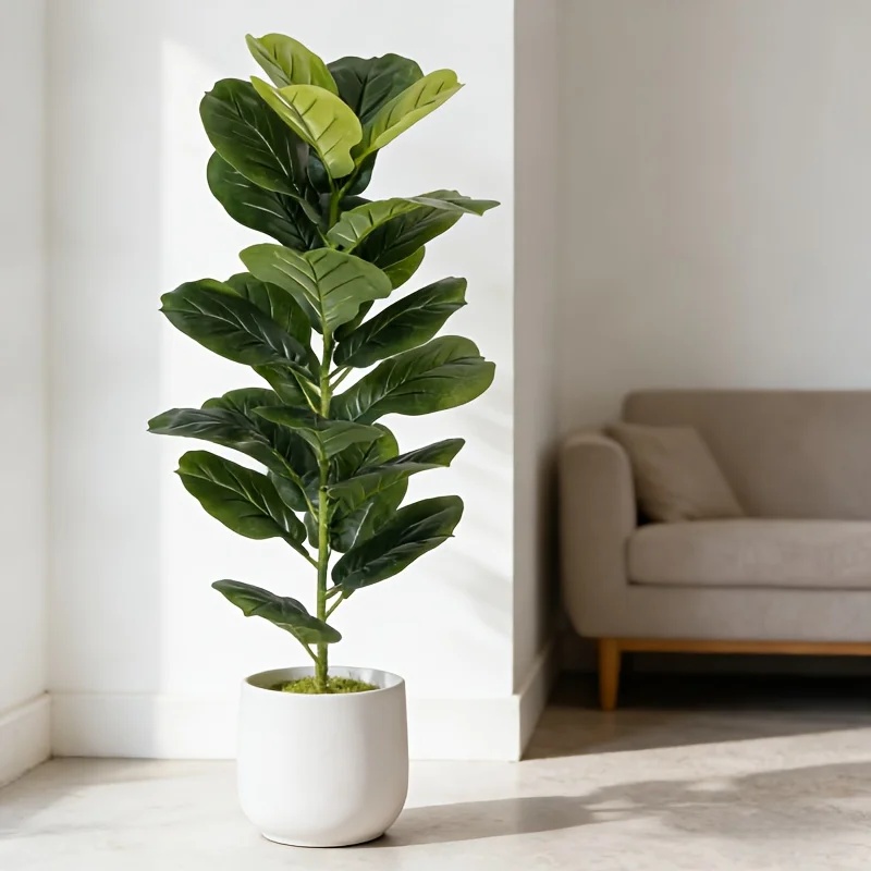 オフィス、ホテル、カフェ、結婚式、自宅、パーティーなどの装飾 - Ficus Lyrata Tree のレビューと価格
