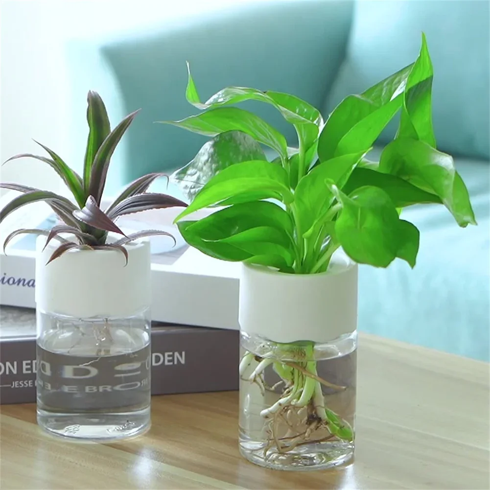 ミニ水耕栽培フラワーポット透明土なし植木鉢家の装飾模造ガラス - Aloe Vera Pot のレビューと価格