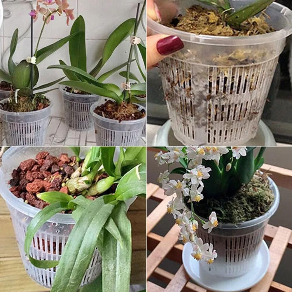 メッシュポット根制御透明植木鉢花用通気性成長コンテナ排水穴蘭 - Aloe Vera Pot のレビューと価格