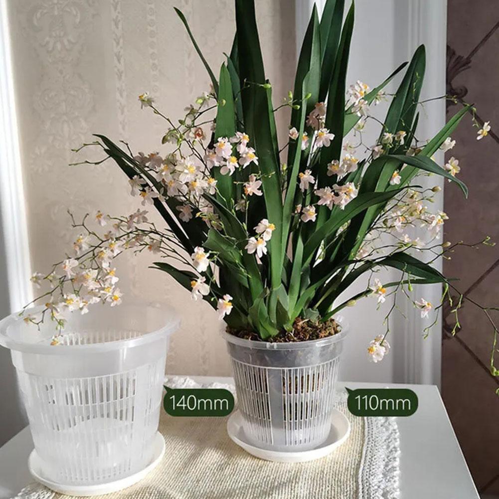 メッシュポット根制御透明植木鉢花用通気性成長コンテナ排水穴蘭 - Aloe Vera Pot のレビューと価格