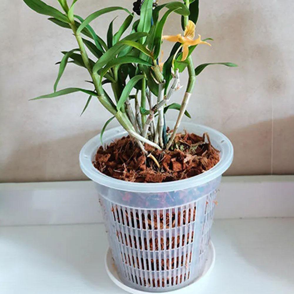 メッシュポット根制御透明植木鉢花用通気性成長コンテナ排水穴蘭 - Aloe Vera Pot のレビューと価格