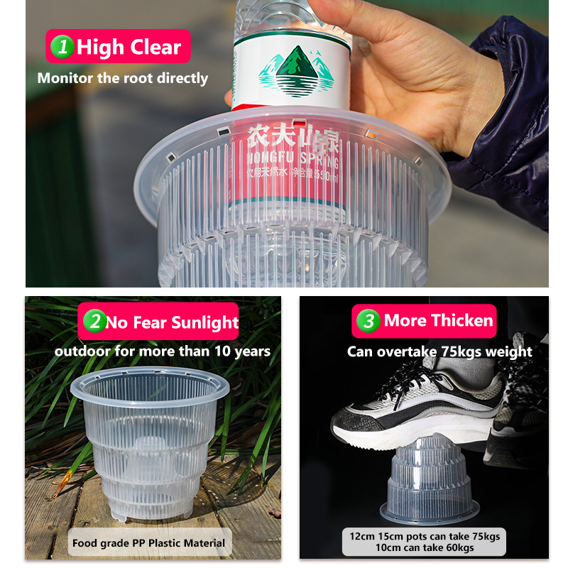メッシュポット透明プラスチック蘭ポット穴と受け皿付き小さな蘭 - Aloe Vera Pot のレビューと価格