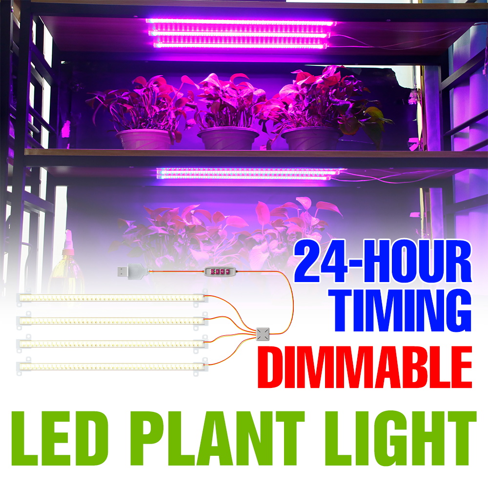 LED屋内植物ライトバーUSBフルスペクトル種子育成ライト調 - Echeveria Succulent のレビューと価格