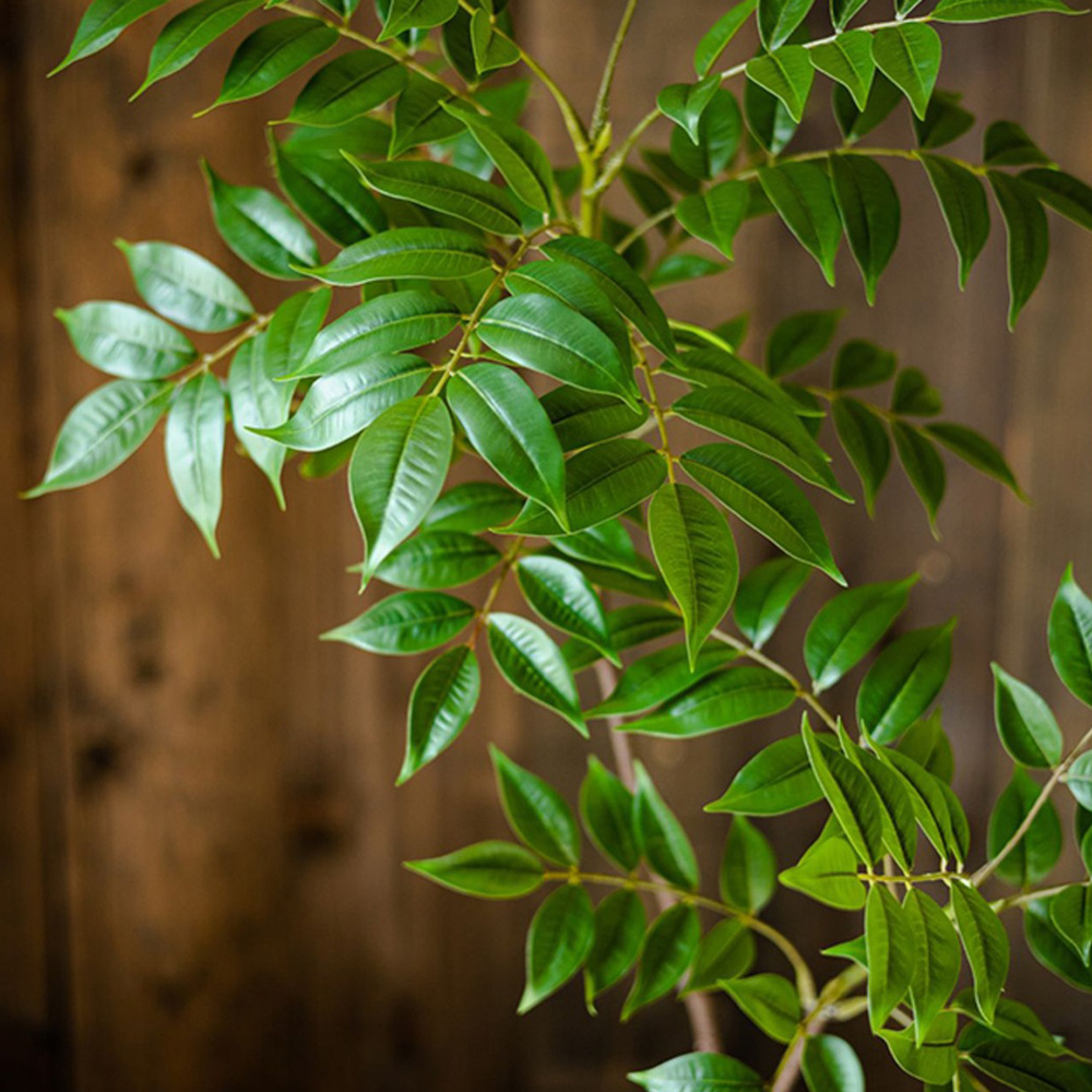 76-140 センチメートル大型人工フィカスの木の枝偽漆の木 - Ficus Lyrata Tree のレビューと価格