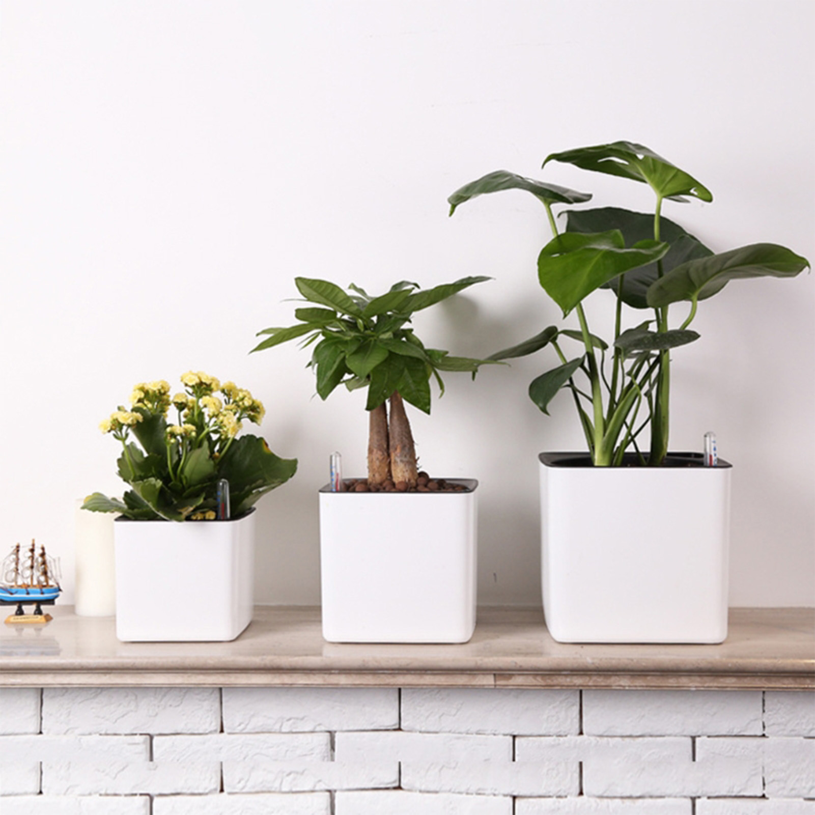 自動給水プランター 水位計付き自動給水ポット ホワイト 自動 - Aloe Vera Pot のレビューと価格