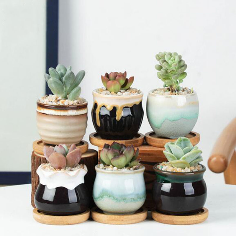 6 ピース/セットセラミック植木鉢セットミニ親指多肉植物ポッ - Aloe Vera Pot のレビューと価格