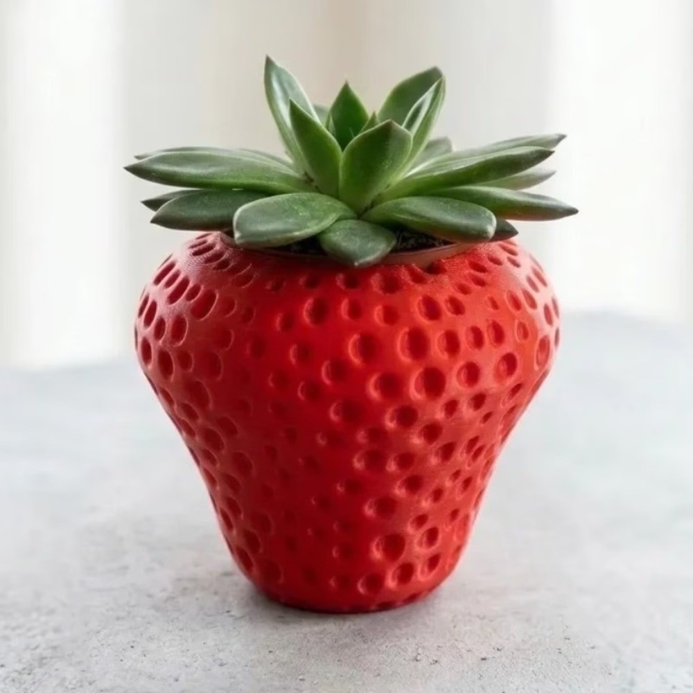 プラスチック製フルーツ型植木鉢 3Dプリント製ホームオーナメ - Echeveria Succulent のレビューと価格