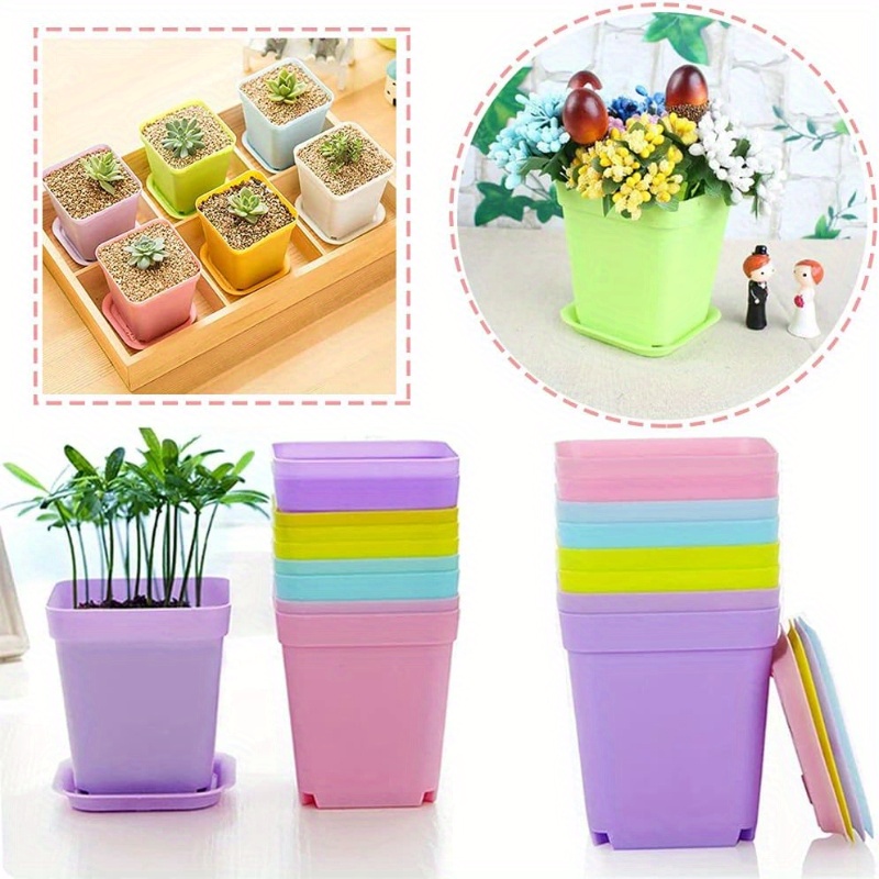 14/20/42個セットのカラフルな植木鉢、トレイ付きの正方 - Echeveria Succulent のレビューと価格