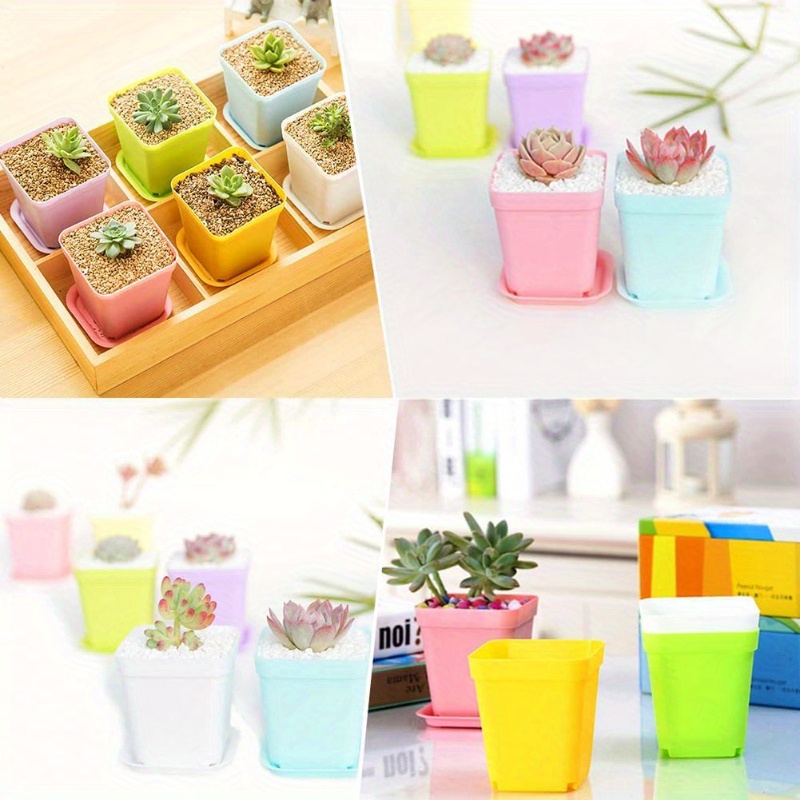 14/20/42個セットのカラフルな植木鉢、トレイ付きの正方 - Echeveria Succulent のレビューと価格