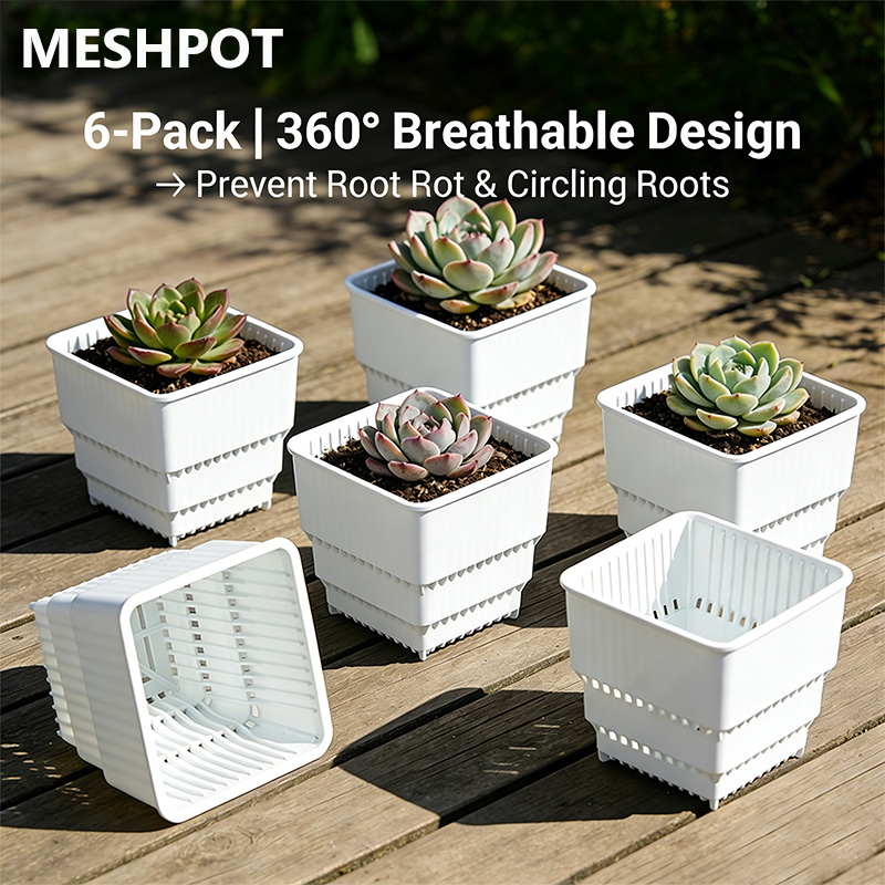 MESHPOT 多肉植物とサボテン用6個セットの正方形鉢 – - Echeveria Succulent のレビューと価格