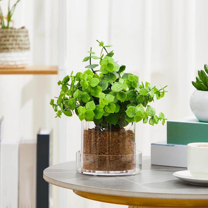 排水付き透明植木鉢植物用透明ポッティング容器再利用可能なアク - Aloe Vera Pot のレビューと価格