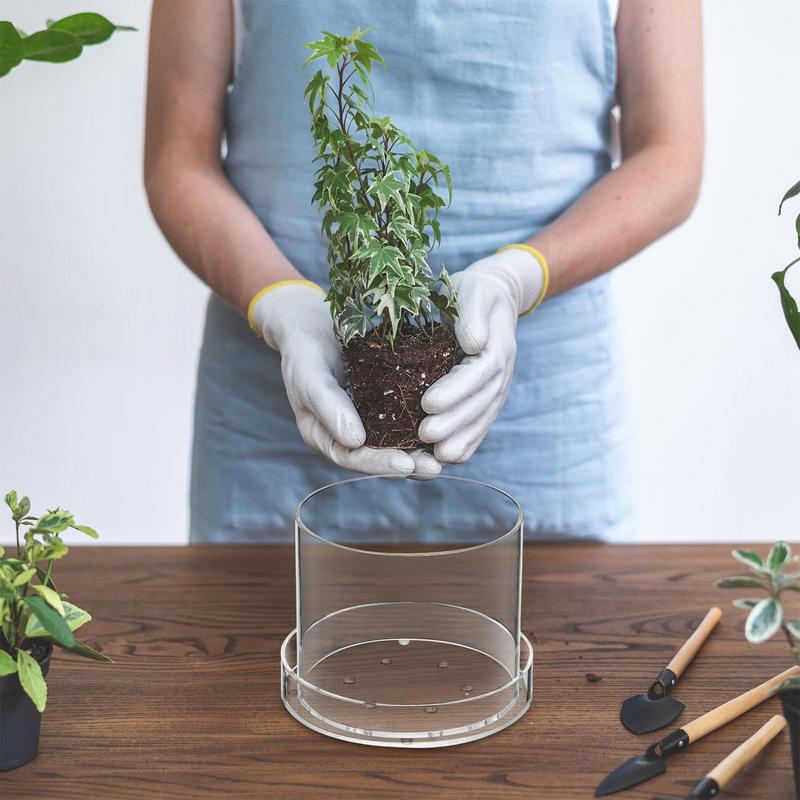 排水付き透明植木鉢植物用透明ポッティング容器再利用可能なアク - Aloe Vera Pot のレビューと価格