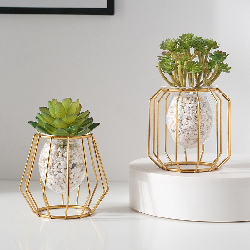 水耕栽培の創造的な花瓶の装飾,オフィス,緑のラディッシュ,植 - Aloe Vera Pot のレビューと価格